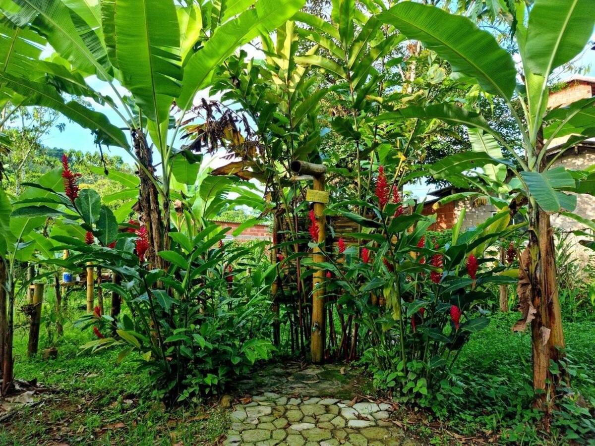 Cambuca Surf Skate Villa Ubatuba Exterior photo